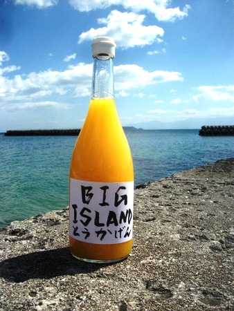  とうかげんのはっさくジュース『BIG ISLAND』は、無添加天然果汁１００％です。