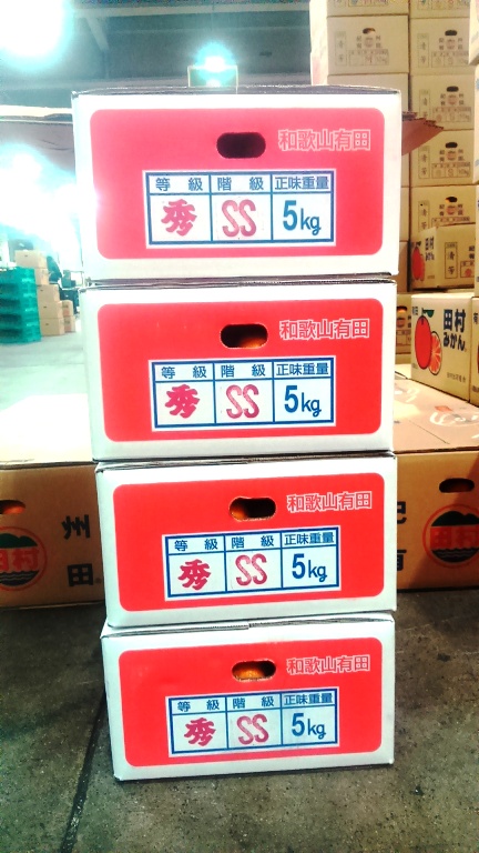 12月5日(月)から的兵入荷しました。 12月5日(月)から的兵入荷しました。