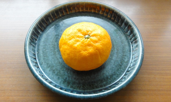 からだを呼び覚ますようなコクのある柑橘です。　　陶器：河井 一喜作　呉須鎬皿