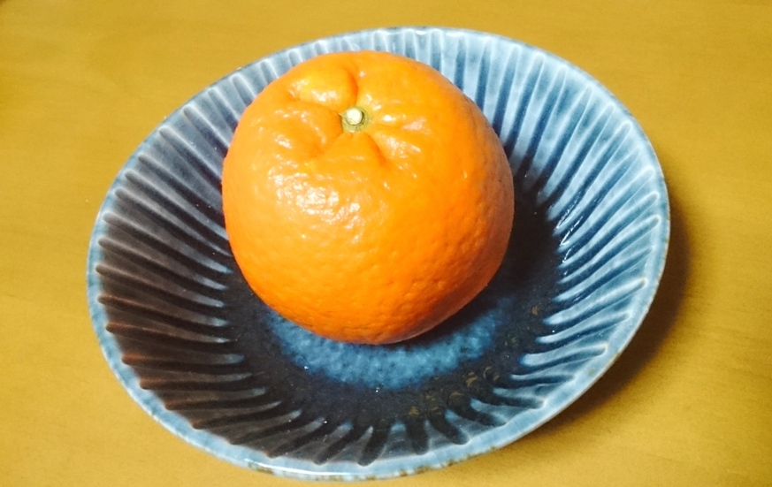 自然交配で誕生した「たんかん」、見た目はそれほどきれいではない柑橘ですが、濃厚な果汁がたっぷりと含まれています。陶器：河井 久 作